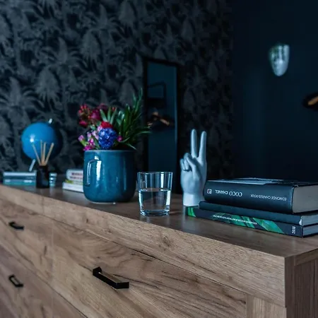 Alphaville 96 Apartment Brasov